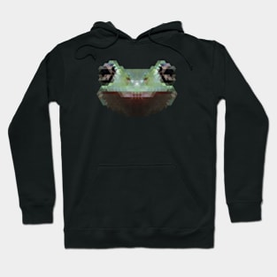 Minimalist Geometric Stylized Animals - Frog Hoodie